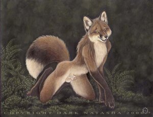 Rating: Explicit Score: 0 Tags: 2006 all_fours animal_genitalia anthro balls biped black_nose brown_body brown_fur brown_hair canid canine claws dark_natasha detached_sheath detailed_background digitigrade dipstick_tail e621 feet forest fox fully_sheathed fur genitals grass hair handpaw inner_ear_fluff looking_at_viewer male mammal markings mullet multicolored_tail nature nude outside paws penis penis_tip photorealism plant realistic sheath shrub signature solo tail tail_markings tree tuft whiskers wood yellow_eyes User: bunchy7s Rating: Explicit Score: 0 Tags: 2006 all_fours animal_genitalia anthro balls biped black_nose brown_body brown_fur brown_hair canid canine claws dark_natasha detached_sheath detailed_background digitigrade dipstick_tail e621 feet forest fox fully_sheathed fur genitals grass hair handpaw inner_ear_fluff looking_at_viewer male mammal markings mullet multicolored_tail nature nude outside paws penis penis_tip photorealism plant realistic sheath shrub signature solo tail tail_markings tree tuft whiskers wood yellow_eyes User: bunchy7s