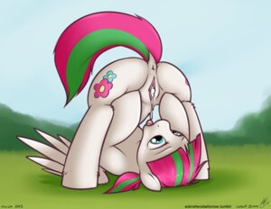 Rating: Explicit Score: 0 Tags: 2013 anus blossomforth_(mlp) blue_eyes bodily_fluids cobalt_snow conditional_dnp cum cum_in_vagina cum_inside cutie_mark digital_media_(artwork) dripping e621 equid equine feathered_wings feathers female feral flexible freckles friendship_is_magic genital_fluids genitals hair hasbro mammal multicolored_hair my_little_pony mythological_creature mythological_equine mythology open_mouth outside pegasus pink_body pink_feathers quadruped sky solo spread_legs spread_vulva spreading tail tongue two_tone_hair vulva wings User: bunchy7s Rating: Explicit Score: 0 Tags: 2013 anus blossomforth_(mlp) blue_eyes bodily_fluids cobalt_snow conditional_dnp cum cum_in_vagina cum_inside cutie_mark digital_media_(artwork) dripping e621 equid equine feathered_wings feathers female feral flexible freckles friendship_is_magic genital_fluids genitals hair hasbro mammal multicolored_hair my_little_pony mythological_creature mythological_equine mythology open_mouth outside pegasus pink_body pink_feathers quadruped sky solo spread_legs spread_vulva spreading tail tongue two_tone_hair vulva wings User: bunchy7s
