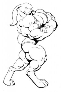 Rating: Safe Score: 0 Tags: abs anthro biceps big_muscles black_and_white e621 female hi_res huge_muscles hyper hyper_muscles lagomorph leporid looking_at_viewer mammal monochrome muscular muscular_anthro muscular_female pecs pose rabbit richard_bartrop sara_(jdrabbit1) solo User: bunchy7s Rating: Safe Score: 0 Tags: abs anthro biceps big_muscles black_and_white e621 female hi_res huge_muscles hyper hyper_muscles lagomorph leporid looking_at_viewer mammal monochrome muscular muscular_anthro muscular_female pecs pose rabbit richard_bartrop sara_(jdrabbit1) solo User: bunchy7s