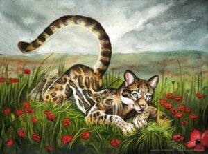 Rating: Questionable Score: 0 Tags: 2013 alectorfencer ambiguous_gender anthro artist_collaboration ass_up biped blue_eyes cloud dark_natasha detailed_background e621 felid feline flower grass leopardus looking_at_viewer lying male mammal nature nude ocelot on_front outside painting_(artwork) pink_nose plant poppy_(flower) raised_tail sky solo tail traditional_media_(artwork) traditional_painting_(artwork) traditional_watercolor_(artwork) watercolor_(artwork) User: bunchy7s