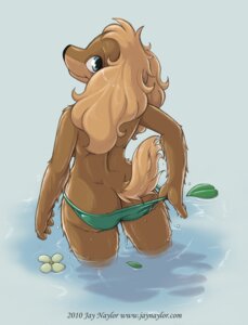 Rating: Questionable Score: 0 Tags: 2010 anthro bikini bikini_bottom biped bird_dog black_nose blonde_hair blue_eyes breasts brown_body brown_fur butt canid canine canis casual_exposure clothed clothing cocker_spaniel conditional_dnp digital_media_(artwork) domestic_dog e621 eyebrows female fluffy fluffy_tail fur hair humanoid_hands hunting_dog jay_naylor leaf long_hair looking_at_viewer looking_back mammal multicolored_body multicolored_fur pond short_tail side_boob skimpy slim smile solo spaniel standing swimwear tail tan_body tan_fur text topless trixie_(jay_naylor) two-piece_swimsuit two_tone_body two_tone_fur undressing url water wet wide_hips User: bunchy7s