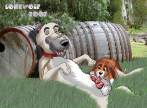 Rating: Explicit Score: 0 Tags: 2007 canine chief_(tfath) copper_(tfath) cub cub_and_adult disney feral feral_on_feral furry gay hunting_dog lonewolf male male_cub male_only penis pup puppy rule34 t the_fox_and_the_hound User: bunchy7s