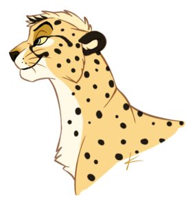 Rating: Safe Score: 0 Tags: 2012 cheetah e621 felid feline feral knon low_res male mammal simple_background solo spots white_background User: bunchy7s