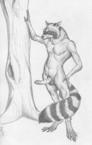 Rating: Explicit Score: 0 Tags: 2005 5_toes anthro balls becky_short biped claws detailed e621 erection feet fluffy fluffy_tail genitals greyscale hand_on_leg male mammal monochrome nipples nude penis plant procyonid raccoon simple_background solo standing stripes tail toes tree whiskers white_background User: bunchy7s