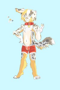 Rating: Safe Score: 0 Tags: 2:3 anthro australian_shepherd blue_eyes canid canine canis clothing collar domestic_dog e621 fur happy herding_dog hi_res male mammal markings marshalpizza pastoral_dog sheepdog solo spots spotted_body spotted_fur underwear white_body white_fur yellow_body yellow_fur young young_anthro young_male User: bunchy7s