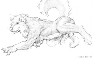 Rating: Explicit Score: 0 Tags: animal_genitalia animal_penis anthro auric balls canid canine canine_genitalia canine_penis canis domestic_dog e621 erection genitals knot male mammal monochrome nude penis solo tail User: bunchy7s