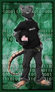 Rating: Safe Score: 0 Tags: 3_toes anthro binary_code black_clothing border bottomwear buckteeth clock clothed clothing computer darkrat e621 electronics english_text feet fur green_background green_border green_eyes grey_body grey_fur holding_object laptop looking_at_viewer male mammal murid murine pants rat rodent shirt simple_background solo source_request standing t-shirt tail teeth text toes topwear unknown_artist watch whiskers User: bunchy7s