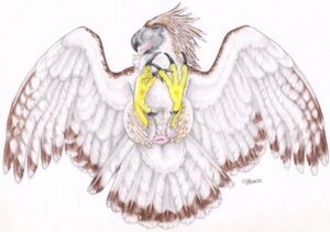 Rating: Explicit Score: 0 Tags: 2013 accipitrid accipitriform ambiguous_gender animal_genitalia avian avian_butt bird cloaca e621 eagle feathered_wings feathers feet feral genitals hindpaw horizontal_cloaca legs_up lying on_back paws philippine_eagle solo spread_eagle spread_legs spreading talons toes windpaw wings User: bunchy7s Rating: Explicit Score: 0 Tags: 2013 accipitrid accipitriform ambiguous_gender animal_genitalia avian avian_butt bird cloaca e621 eagle feathered_wings feathers feet feral genitals hindpaw horizontal_cloaca legs_up lying on_back paws philippine_eagle solo spread_eagle spread_legs spreading talons toes windpaw wings User: bunchy7s