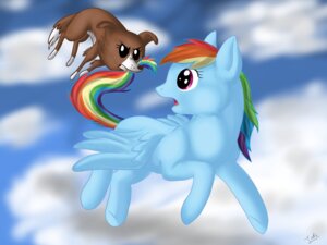 Rating: Safe Score: 0 Tags: 4:3 blue_body blue_feathers blue_fur canid canine canis cloud detailed_background domestic_dog duo e621 equid equine feathered_wings feathers female feral flying friendship_is_magic fur hair hasbro jadiethecatta mammal multicolored_hair multicolored_tail my_little_pony mythological_creature mythological_equine mythology open_mouth outside pegasus purple_eyes rainbow_dash_(mlp) rainbow_hair rainbow_tail sky skyscape tail toony wallpaper wings winona_(mlp) User: bunchy7s
