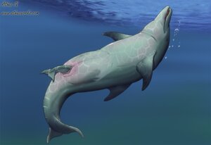 Rating: Explicit Score: 0 Tags: ambiguous_gender aquatic athus birth bubble cetacean detailed_background dolphin duo e621 female feral genitals mammal oceanic_dolphin plump_labia toothed_whale underwater upside_down vulva water User: bunchy7s
