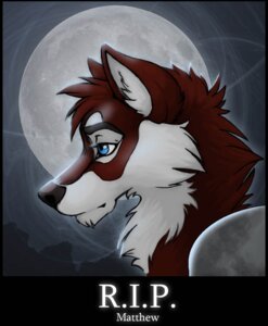 Rating: Safe Score: 0 Tags: 2007 anthro blue_eyes canid canine digital_media_(artwork) e621 english_text fox fur grave male mammal moon multicolored_body multicolored_fur night outside r.i.p. red_body red_fur sky solo text two_tone_body two_tone_fur white_body white_fur wolfy-nail User: bunchy7s