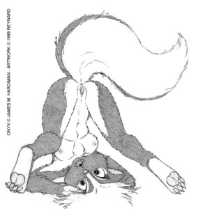 Rating: Explicit Score: 0 Tags: 1999 anthro anus biped breasts chest_tuft digitigrade e621 ear_piercing female fur genitals greyscale hair looking_at_viewer mammal mephitid monochrome nipples nude onyx_(jmh) open_mouth piercing reynard_fox shoulder_stand simple_background skunk solo tail tail_anus tuft vulva white_background white_hair User: bunchy7s Rating: Explicit Score: 0 Tags: 1999 anthro anus biped breasts chest_tuft digitigrade e621 ear_piercing female fur genitals greyscale hair looking_at_viewer mammal mephitid monochrome nipples nude onyx_(jmh) open_mouth piercing reynard_fox shoulder_stand simple_background skunk solo tail tail_anus tuft vulva white_background white_hair User: bunchy7s