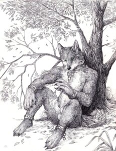 Rating: Explicit Score: 0 Tags: 2011 animal_genitalia anthro balls canid canine canis casual_nudity chain e621 fully_sheathed genitals greyscale jewelry male mammal monochrome necklace nude nukerooster outside plant scenery sheath sketch solo tail tree wolf wood User: bunchy7s