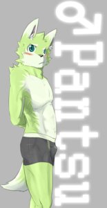 Rating: Questionable Score: 0 Tags: anthro biped black_nose blush boxer_briefs bulge canid canine canis clothed clothing dipstick_ears domestic_dog e621 ear_markings fur green_body green_fur grey_background hands_behind_back looking_aside looking_at_viewer male mammal markings multicolored_ears samu simple_background skimpy solo standing tail teal_eyes text topless underwear white_body white_fur young young_anthro young_male User: bunchy7s Rating: Questionable Score: 0 Tags: anthro biped black_nose blush boxer_briefs bulge canid canine canis clothed clothing dipstick_ears domestic_dog e621 ear_markings fur green_body green_fur grey_background hands_behind_back looking_aside looking_at_viewer male mammal markings multicolored_ears samu simple_background skimpy solo standing tail teal_eyes text topless underwear white_body white_fur young young_anthro young_male User: bunchy7s