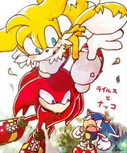 Rating: Safe Score: 0 Tags: 5:6 anthro big_eyes big_head blue_body blue_fur canid canine crooked_tail e621 eulipotyphlan fox fur group hedgehog knuckles_the_echidna male mammal miles_prower multi_tail sega side_mouth sonic_the_hedgehog sonic_the_hedgehog_(series) tail toony urahyu User: bunchy7s