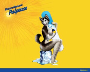 Rating: Explicit Score: 0 Tags: anthro blue_eyes breasts canine commercial female husky nude orangina rule34 solo tagme User: bunchy7s