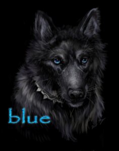 Rating: Safe Score: 0 Tags: blue_(wolf's_rain) canid canine canis domestic_dog e621 female feral hybrid mammal miki- solo wolf wolf's_rain User: bunchy7s Rating: Safe Score: 0 Tags: blue_(wolf's_rain) canid canine canis domestic_dog e621 female feral hybrid mammal miki- solo wolf wolf's_rain User: bunchy7s