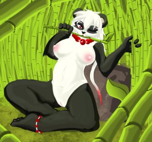 Rating: Explicit Score: 0 Tags: ankama anthro bamboo bear breasts female female_only front_view giant_panda necklace nude panda pandawa rule34 sitting solo spidu tagme wakfu User: bunchy7s Rating: Explicit Score: 0 Tags: ankama anthro bamboo bear breasts female female_only front_view giant_panda necklace nude panda pandawa rule34 sitting solo spidu tagme wakfu User: bunchy7s