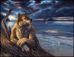 Rating: Safe Score: 0 Tags: 2009 5_fingers amber_hill anthro beach black_nose brown_body brown_fur canid canine canis claws cloud crossed_arms detailed detailed_background driftwood e621 fingers fur green_eyes log male mammal nude nude_beach outside overcast sand seaside sky solo tan_body tan_fur water watermark whiskers wolf wood User: bunchy7s Rating: Safe Score: 0 Tags: 2009 5_fingers amber_hill anthro beach black_nose brown_body brown_fur canid canine canis claws cloud crossed_arms detailed detailed_background driftwood e621 fingers fur green_eyes log male mammal nude nude_beach outside overcast sand seaside sky solo tan_body tan_fur water watermark whiskers wolf wood User: bunchy7s