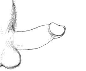 Rating: Explicit Score: 0 Tags: 1boy anatomically_correct anatomy animated average_sized_penis balls ballsack close erection flaccid flaccid_penis foreskin foreskin_folds getting_erect growth hair_tuft human human_only loop male male_focus male_only male_pubic_hair moving_foreskin partial_male partially_retracted_foreskin penis pubic_hair realistic retracted_foreskin rule34 scrotum shimera sketch solo solo_focus stiff testicles turning uncircumcised uncut unretracted_foreskin veiny veiny_penis yellowpower User: bunchy7s