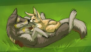 Rating: Safe Score: 0 Tags: 7:4 ambiguous_gender big_ears boop canid canine canis cuddling danji-isthmus digital_drawing_(artwork) digital_media_(artwork) digitigrade duo e621 fennec_fox feral fox graneth grass hybrid lying mammal on_back plant quadruped size_difference taag tail true_fox wolf yellow_eyes User: bunchy7s