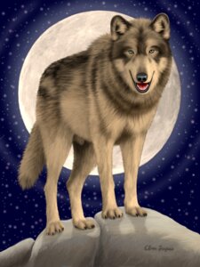 Rating: Explicit Score: 0 Tags: anatomically_correct anatomically_correct_genitalia animal_genitalia barely_visible_genitalia black_body black_fur black_lips black_nose blue_eyes canid canine canis claws countershade_face countershade_torso countershading e621 ebon_lupus feral fluffy fluffy_tail fully_sheathed fur genitals grey_body grey_fur hi_res inner_ear_fluff lips looking_at_viewer male mammal moon multicolored_body multicolored_fur night northwestern_wolf open_mouth outside paws penis photorealism realistic rock sheath sky solo star starry_sky tail teeth tongue tristan_(ebon_lupus) tuft wolf User: bunchy7s