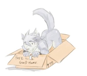 Rating: Questionable Score: 0 Tags: 2014 adoption_box all_fours anthro biceps box canid canine canis cardboard cardboard_box container dog_tags domestic_dog e621 english_text fur grey_body grey_fur half-closed_eyes husky if_it_fits_i_sits_(meme) in_box in_container kouya_aotsuki male mammal meme morenatsu muscular muscular_anthro muscular_male narrowed_eyes nordic_sled_dog nude raised_tail simple_background smile smirk solo spider-bro spitz tail text white_background User: bunchy7s