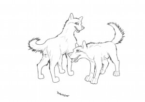 Rating: Explicit Score: 0 Tags: anatomically_correct anatomically_correct_genitalia anatomically_correct_vulva animal_genitalia animal_penis animal_vulva canid canine canine_genitalia canine_penis canine_vulva canis duo e621 female feral feral_on_feral genitals male mammal monochrome nude penis penis_tip realistic_feral sex sheath simple_background tail vulva white_background wolf wuf_(artist) User: bunchy7s