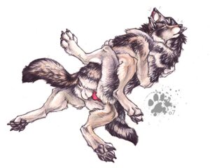 Rating: Explicit Score: 0 Tags: anal anal_sex blotch canine canine_penis furry furry_only gay knot male nude penetration penis rule34 wolf User: bunchy7s