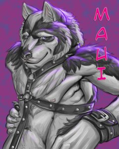 Rating: Questionable Score: 0 Tags: anthro bdsm canid canine canis e621 harness looking_at_viewer male mammal mythological_canine mythological_creature mythology rrowdybeast solo werecanid werecanine werecreature werewolf wolf User: bunchy7s Rating: Questionable Score: 0 Tags: anthro bdsm canid canine canis e621 harness looking_at_viewer male mammal mythological_canine mythological_creature mythology rrowdybeast solo werecanid werecanine werecreature werewolf wolf User: bunchy7s