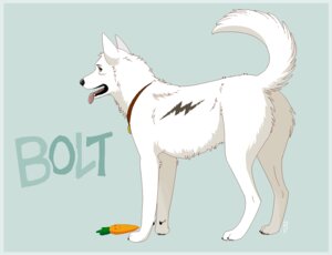 Rating: Safe Score: 0 Tags: 2014 big_ears blue_border bolt_(bolt) bolt_(film) border brown_eyes butt canid canine canis collar disney domestic_dog e621 feral fur german_shepherd herding_dog looking_at_viewer male mammal mr_carrot open_mouth pastoral_dog simple_background solo tongue unknown_artist white_body white_fur User: bunchy7s
