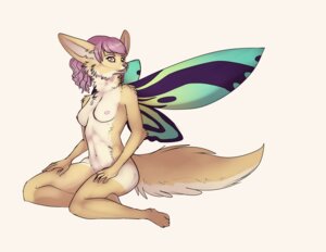 Rating: Questionable Score: 0 Tags: 2012 anthro arthropod birdwing_butterfly breasts butterfly canid canine celestina e621 female fennec_fox fox fur hybrid insect insect_wings lepidopteran mammal nude queen_alexandra's_birdwing simple_background solo tail tan_body tan_fur true_fox white_background wings User: bunchy7s