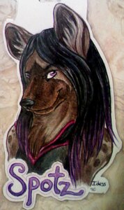 Rating: Safe Score: 0 Tags: 2010 anthro black_hair black_nose brown_body brown_fur bust_portrait character_badge_(artwork) character_name e621 fur hair hyena idess inner_ear_fluff long_hair looking_at_viewer male mammal multicolored_hair outline portrait purple_eyes purple_hair smile solo spots spotted_hyena spotz text tuft User: bunchy7s