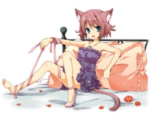 Rating: Safe Score: 0 Tags: animal_humanoid blue_eyes cat_humanoid e621 felid felid_humanoid feline feline_humanoid female flower hair humanoid jewelry kubyou_azami mammal mammal_humanoid necklace pink_hair plant simple_background solo tail white_background User: bunchy7s