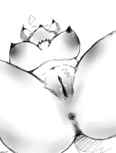 Rating: Explicit Score: 0 Tags: absurd_res anthro anus breasts canid canine e621 female genital_focus genitals greyscale hi_res jean_vasquin mammal monochrome nipples nude simple_background sketch solo vulva white_background User: bunchy7s