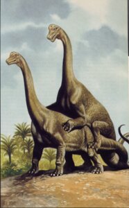 Rating: Explicit Score: 0 Tags: brontosaurus dinosaur diplodocid diplodocoid doggystyle duo e621 female feral from_behind_position long_neck long_tail male male/female plant prehistoric_species reptile saurischian sauropod sauropodomorph scalie sex tail unknown_artist User: bunchy7s Rating: Explicit Score: 0 Tags: brontosaurus dinosaur diplodocid diplodocoid doggystyle duo e621 female feral from_behind_position long_neck long_tail male male/female plant prehistoric_species reptile saurischian sauropod sauropodomorph scalie sex tail unknown_artist User: bunchy7s