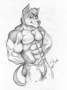 Rating: Questionable Score: 0 Tags: 2008 abs anthro athletic biceps big_muscles biped bulge canid canine canis chest_tuft clothed clothing domestic_dog e621 front_view fur greyscale grin hair hands_behind_back husky knuxlight looking_at_viewer male mammal monochrome muscular muscular_anthro muscular_male nordic_sled_dog pecs pose pubes simple_background sketch smile solo spitz standing text topless tuft underwear vein User: bunchy7s Rating: Questionable Score: 0 Tags: 2008 abs anthro athletic biceps big_muscles biped bulge canid canine canis chest_tuft clothed clothing domestic_dog e621 front_view fur greyscale grin hair hands_behind_back husky knuxlight looking_at_viewer male mammal monochrome muscular muscular_anthro muscular_male nordic_sled_dog pecs pose pubes simple_background sketch smile solo spitz standing text topless tuft underwear vein User: bunchy7s