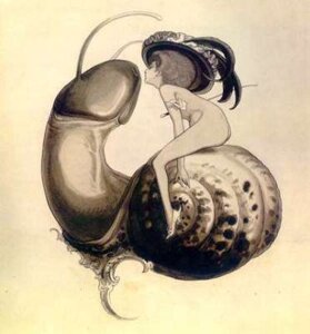 Rating: Explicit Score: 0 Tags: female male monophallia penis penis_body penis_crush penis_head rule34 snail tagme unusual_anatomy what User: bunchy7s Rating: Explicit Score: 0 Tags: female male monophallia penis penis_body penis_crush penis_head rule34 snail tagme unusual_anatomy what User: bunchy7s
