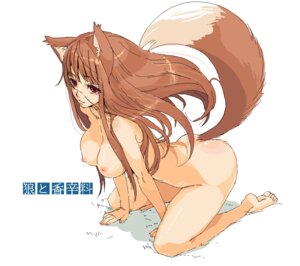 Rating: Questionable Score: 0 Tags: animal_humanoid bad_metadata barefoot breasts brown_hair canid canid_humanoid canine canine_humanoid canis digital_media_(artwork) e621 ear_tuft feet female fur hair holo_(spice_and_wolf) humanoid humanoid_feet hybrid kneeling long_hair mammal mammal_humanoid missing_sample mumu nipples nude oekaki plantigrade red_eyes soles solo spice_and_wolf tail tuft wolf wolf_humanoid User: bunchy7s
