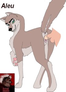 Rating: Explicit Score: 0 Tags: aleu_(balto) anus ass balto_(series) canine female feral male penis pussy rule34 User: bunchy7s Rating: Explicit Score: 0 Tags: aleu_(balto) anus ass balto_(series) canine female feral male penis pussy rule34 User: bunchy7s