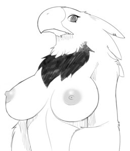 Rating: Questionable Score: 0 Tags: anthro avian beak big_breasts bird breasts digital_media_(artwork) e621 feathers female greyscale half-length_portrait katherine_turner king_of_thorn looking_at_viewer monochrome nipple_dip nipples non-mammal_breasts non-mammal_nipples portrait simple_background sindoll solo white_background User: bunchy7s Rating: Questionable Score: 0 Tags: anthro avian beak big_breasts bird breasts digital_media_(artwork) e621 feathers female greyscale half-length_portrait katherine_turner king_of_thorn looking_at_viewer monochrome nipple_dip nipples non-mammal_breasts non-mammal_nipples portrait simple_background sindoll solo white_background User: bunchy7s