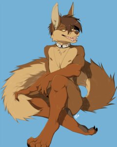 Rating: Questionable Score: 0 Tags: 2009 4:5 anthro blue_background brown_hair canid canine canis collar e621 ear_piercing hair hi_res jackal jewelry kien lonejackal looking_at_viewer male mammal necklace nipples nude open_mouth piercing pose simple_background solo tail year yellow_eyes User: bunchy7s Rating: Questionable Score: 0 Tags: 2009 4:5 anthro blue_background brown_hair canid canine canis collar e621 ear_piercing hair hi_res jackal jewelry kien lonejackal looking_at_viewer male mammal necklace nipples nude open_mouth piercing pose simple_background solo tail year yellow_eyes User: bunchy7s