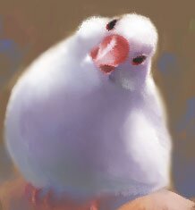 Rating: Safe Score: 0 Tags: ambiguous_gender avian beak big_pupils biped bird curious dark_pupils dipstick_beak e621 estrildid feathered_arms feathered_wings feathers feral finch fluffy fluffy_wings folded_wings head_tilt iris java_sparrow light_body light_face light_feathers light_wings looking_at_viewer low_res monotone_body monotone_face monotone_feathers monotone_wings multicolored_beak no_sclera oscine passerine pupils red_beak red_eyes solo standing thumbnail two_tone_beak white_beak white_body white_face white_feathers white_wings winged_arms wings yunta0722 User: bunchy7s Rating: Safe Score: 0 Tags: ambiguous_gender avian beak big_pupils biped bird curious dark_pupils dipstick_beak e621 estrildid feathered_arms feathered_wings feathers feral finch fluffy fluffy_wings folded_wings head_tilt iris java_sparrow light_body light_face light_feathers light_wings looking_at_viewer low_res monotone_body monotone_face monotone_feathers monotone_wings multicolored_beak no_sclera oscine passerine pupils red_beak red_eyes solo standing thumbnail two_tone_beak white_beak white_body white_face white_feathers white_wings winged_arms wings yunta0722 User: bunchy7s