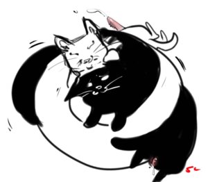 Rating: Explicit Score: 0 Tags: 4chan female feral longcat rule34 silly_cats tacgnol tagme User: bunchy7s