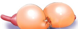 Rating: Explicit Score: 0 Tags: areolae breasts erect_nipples female gigantic_breasts huge_breasts huge_nipples immobile long_nipples nipples red_hair rule34 stick_nipples what User: bunchy7s