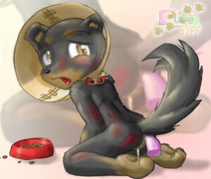 Rating: Explicit Score: 0 Tags: 2003 amber_eyes anal anal_masturbation anal_sex anthro ass black blood brown_eyes bruises closed_eyes collar cute_fang dildo elizabethan_collar female food kneeling looking_at_viewer lunecheetah necklace nude penetration puppy pussy rule34 sex_toy solo tail toy young User: bunchy7s