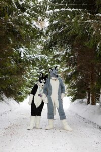 Rating: Safe Score: 0 Tags: 2:3 anthro canid canine canis clothing costume detailed_background domestic_dog duo e621 forest fursuit grandfathered_content hi_res husky male mammal nordic_sled_dog outside plant real romantic romantic_couple size_difference snow spitz tail tree unknown_artist winter User: bunchy7s Rating: Safe Score: 0 Tags: 2:3 anthro canid canine canis clothing costume detailed_background domestic_dog duo e621 forest fursuit grandfathered_content hi_res husky male mammal nordic_sled_dog outside plant real romantic romantic_couple size_difference snow spitz tail tree unknown_artist winter User: bunchy7s