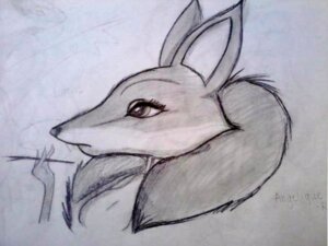 Rating: Safe Score: 0 Tags: angelique canid canine clothing dragon2468 e621 female fox greyscale mammal monochrome rango_(movie) simple_background solo white_background User: bunchy7s