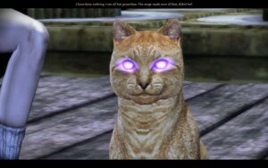 Rating: Safe Score: 0 Tags: 16:10 3d_(artwork) ambiguous_gender bioware digital_media_(artwork) disembodied_leg domestic_cat dragon_age duo e621 electronic_arts english_text felid feline felis feral glowing glowing_eyes grandfathered_content human mammal screencap solo_focus tabby_cat text ticked_tabby unknown_artist widescreen User: bunchy7s