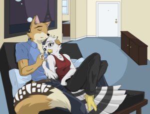 Rating: Safe Score: 0 Tags: anthro avari_jovina avian barefoot belt black_bottomwear black_clothing black_pants blue_clothing blue_shirt blue_topwear bottomwear breasts brown_body brown_fur canid canine canis carpet clothed clothing cuddling denim denim_bottomwear denim_clothing door door_handle doorknob dresser duo e621 eiffel_tower eyes_closed feathers feet female floor fur furniture grey_eyes hi_res inside jackal jeans kitchen kurapika louis_mort love male mammal muscular painting_(object) pants raven_wolf red_clothing red_shirt red_topwear romantic romantic_couple shirt sofa tail tail_feathers talons tank_top toes topwear wood User: bunchy7s